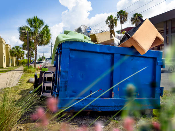 Yard Cleanup Services in Julian, CA